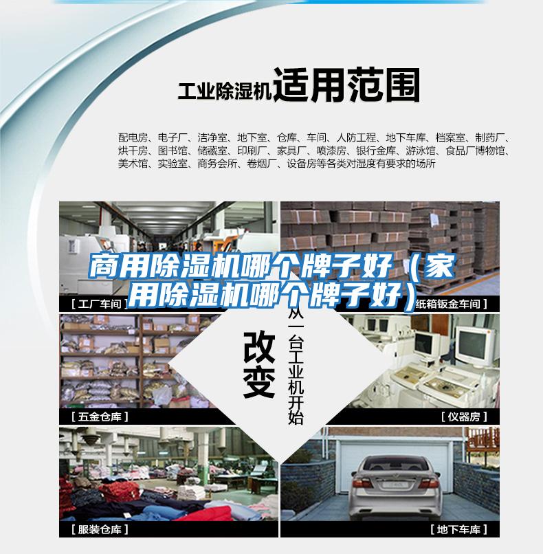 商用除濕機(jī)哪個牌子好（家用除濕機(jī)哪個牌子好）