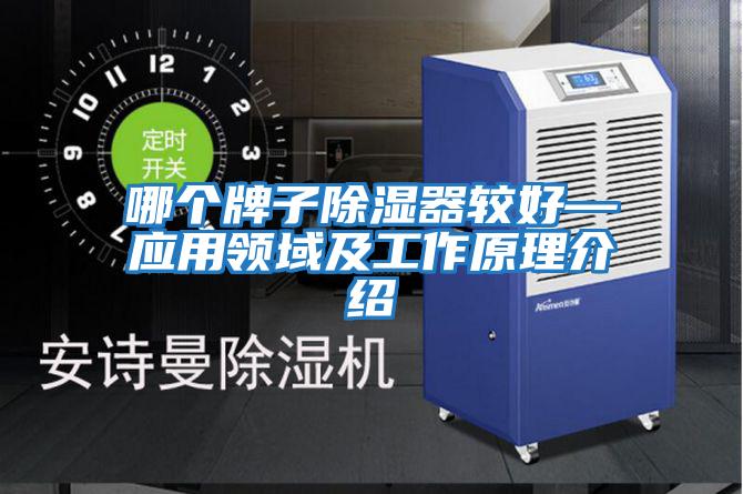 哪個牌子除濕器較好—應(yīng)用領(lǐng)域及工作原理介紹