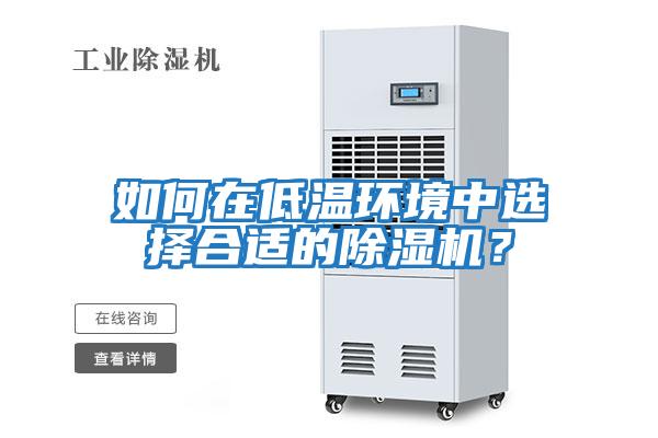 如何在低溫環境中選擇合適的除濕機？