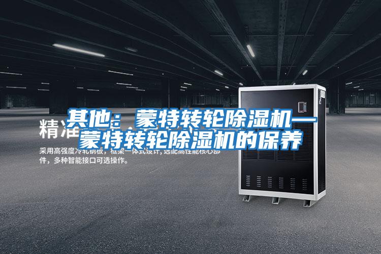 其他：蒙特轉輪除濕機—蒙特轉輪除濕機的保養(yǎng)