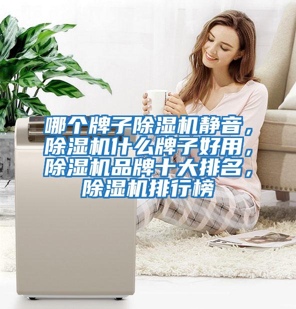 哪個牌子除濕機靜音，除濕機什么牌子好用，除濕機品牌十大排名，除濕機排行榜