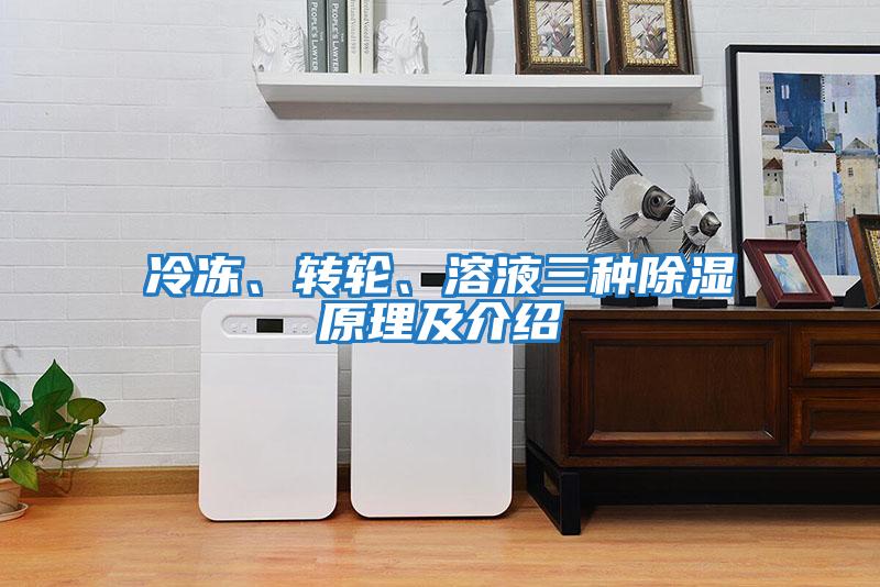 冷凍、轉(zhuǎn)輪、溶液三種除濕原理及介紹