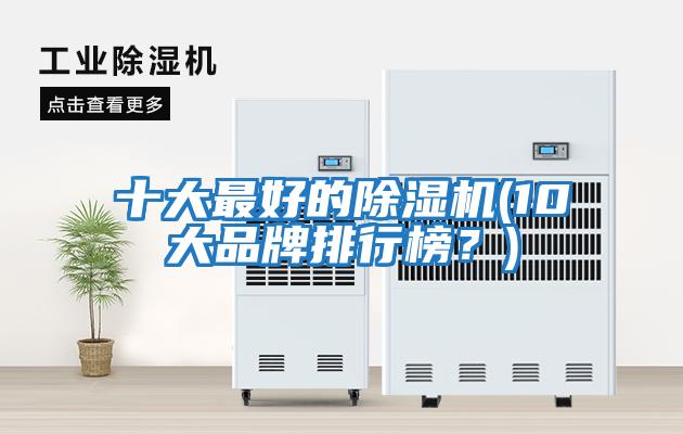 十大最好的除濕機(10大品牌排行榜？)