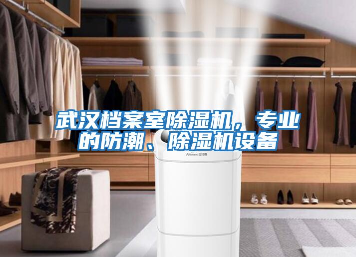 武漢檔案室除濕機，專業(yè)的防潮、除濕機設(shè)備
