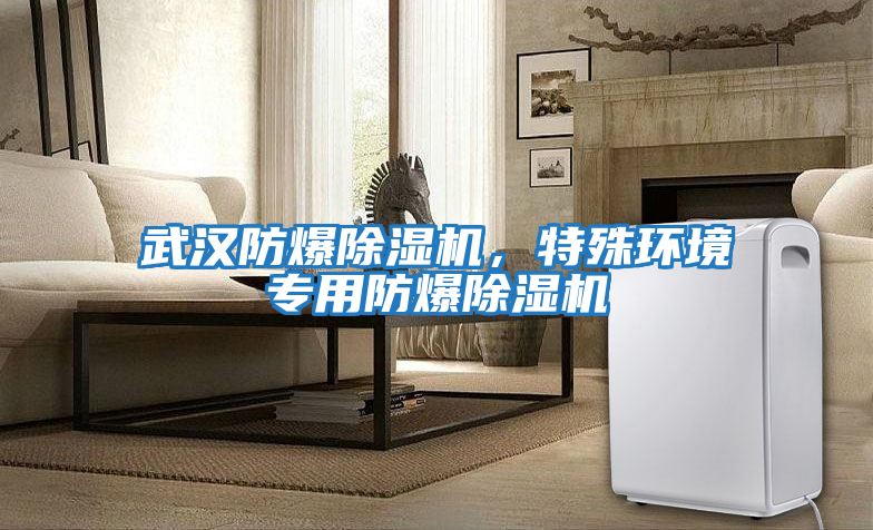 武漢防爆除濕機(jī)，特殊環(huán)境專用防爆除濕機(jī)