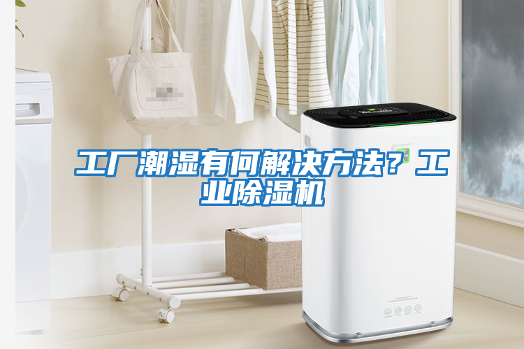 工廠潮濕有何解決方法？工業除濕機
