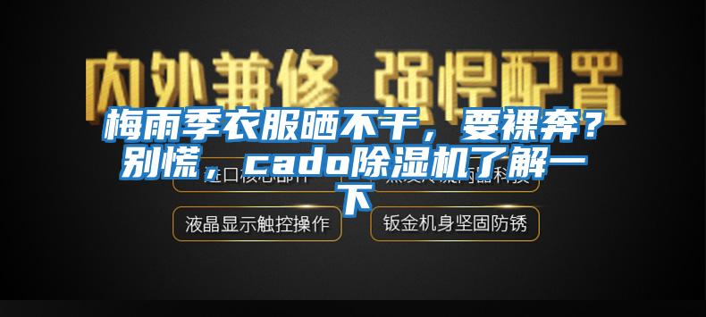 梅雨季衣服曬不干，要裸奔？別慌，cado除濕機了解一下