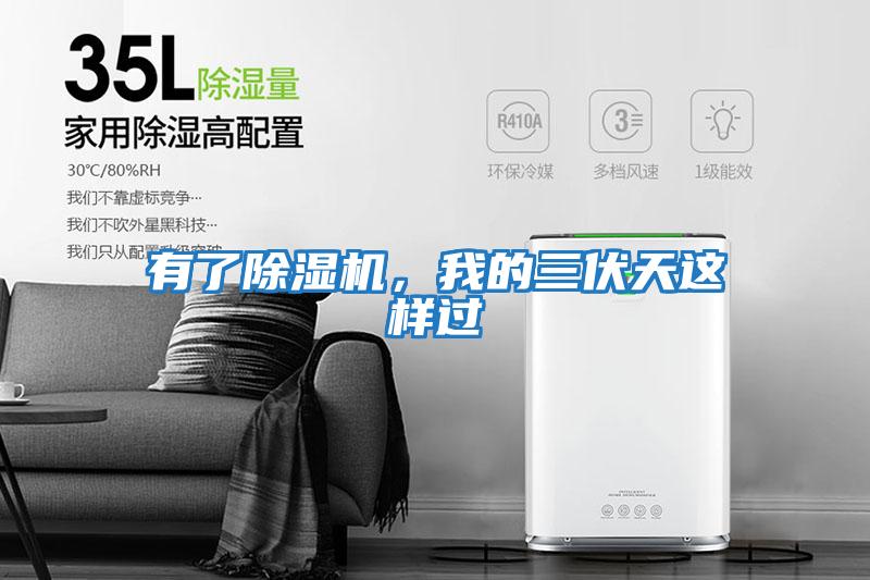 有了除濕機，我的三伏天這樣過