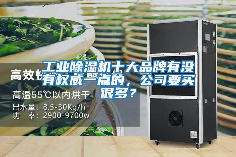 工業除濕機十大品牌有沒有權威一點的，公司要買很多？