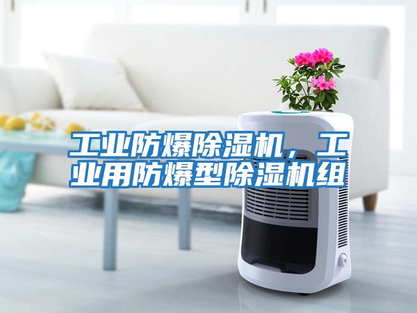工業防爆除濕機，工業用防爆型除濕機組