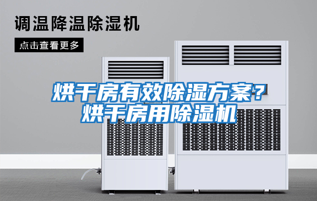 烘干房有效除濕方案？烘干房用除濕機