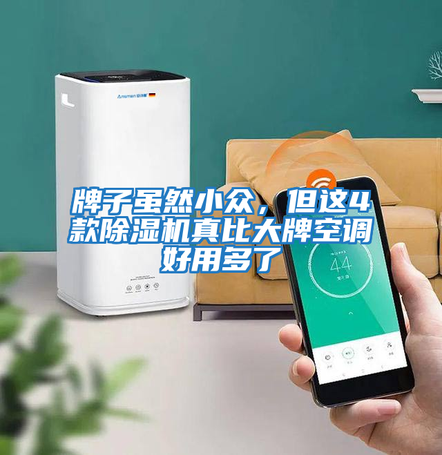 牌子雖然小眾，但這4款除濕機(jī)真比大牌空調(diào)好用多了
