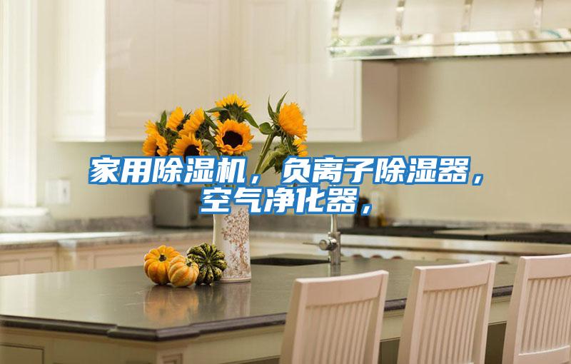 家用除濕機，負離子除濕器，空氣凈化器，