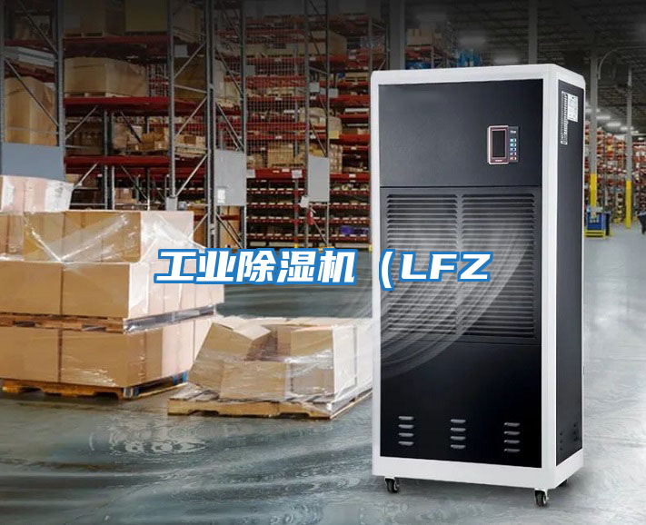 工業(yè)除濕機(jī)（LFZ