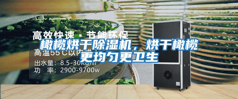 橄欖烘干除濕機，烘干橄欖更均勻更衛生