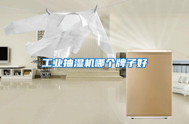 工業抽濕機哪個牌子好