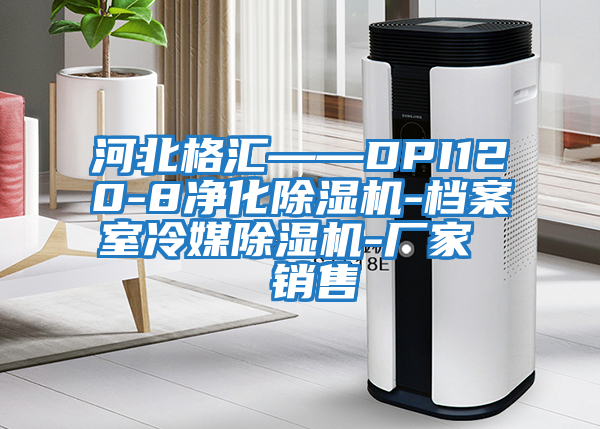 河北格匯——DPI120-8凈化除濕機(jī)-檔案室冷媒除濕機(jī)-廠家  銷(xiāo)售