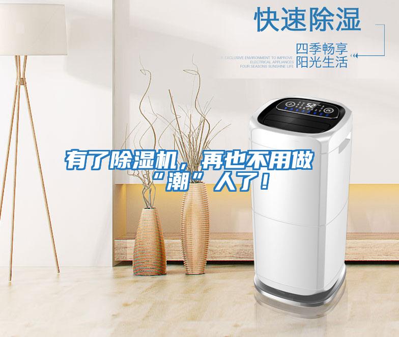 有了除濕機，再也不用做“潮”人了！