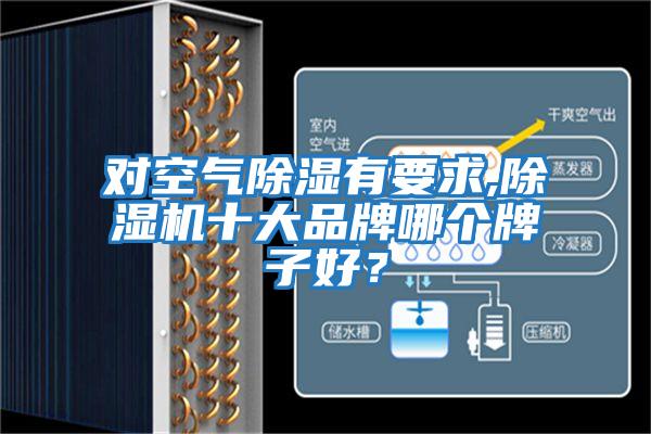 對空氣除濕有要求,除濕機十大品牌哪個牌子好？
