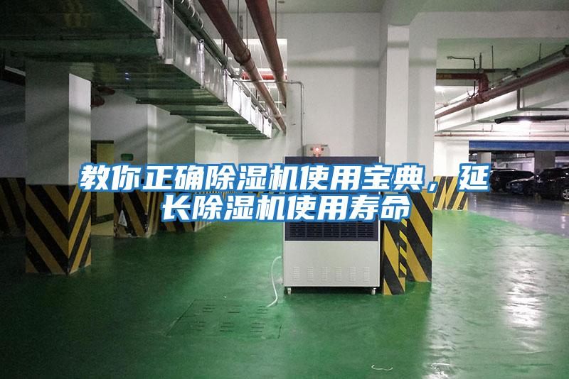 教你正確除濕機使用寶典，延長除濕機使用壽命