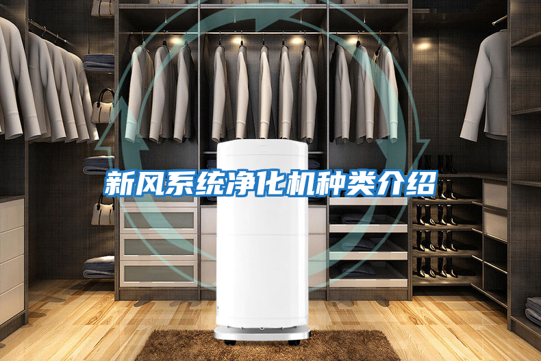 新風系統(tǒng)凈化機種類介紹