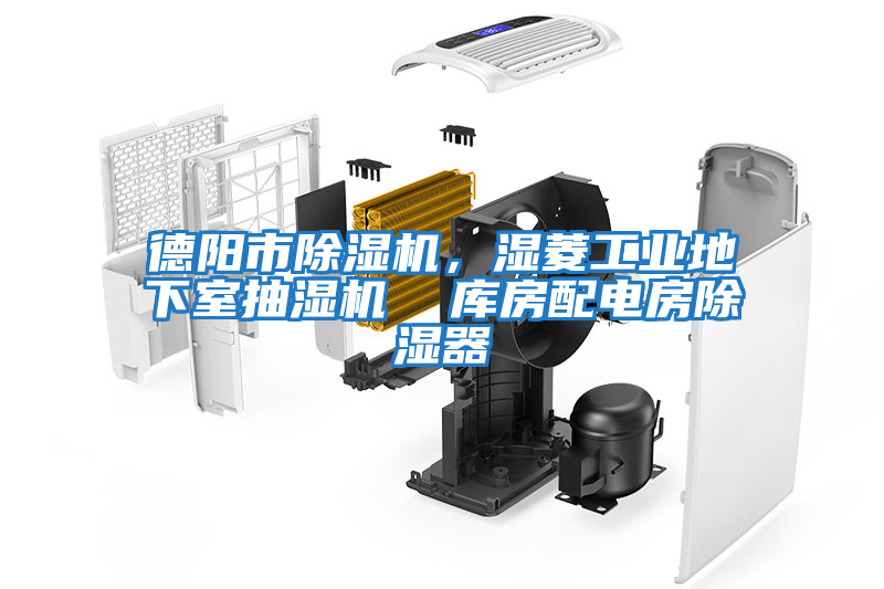 德陽(yáng)市除濕機(jī)，濕菱工業(yè)地下室抽濕機(jī)  庫(kù)房配電房除濕器