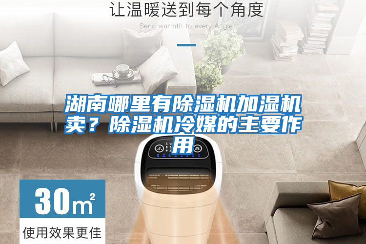 湖南哪里有除濕機加濕機賣？除濕機冷媒的主要作用
