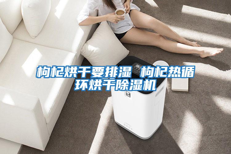 枸杞烘干要排濕 枸杞熱循環烘干除濕機