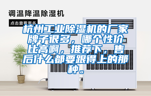 杭州工業(yè)除濕機(jī)的廠家牌子很多，哪個(gè)性價(jià)比高啊，推薦下，售后什么都要跟得上的那種。