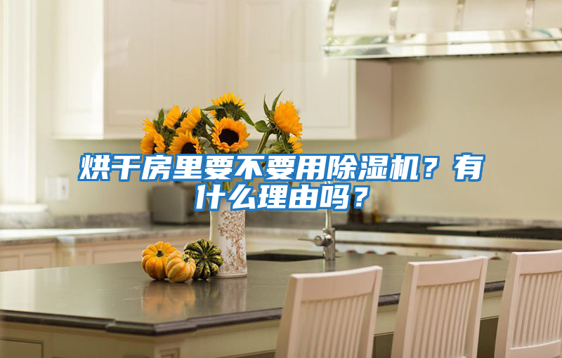 烘干房里要不要用除濕機？有什么理由嗎？