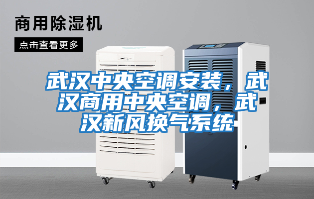 武漢中央空調安裝，武漢商用中央空調，武漢新風換氣系統