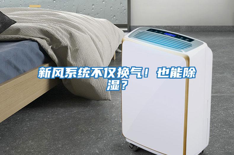 新風(fēng)系統(tǒng)不僅換氣！也能除濕？