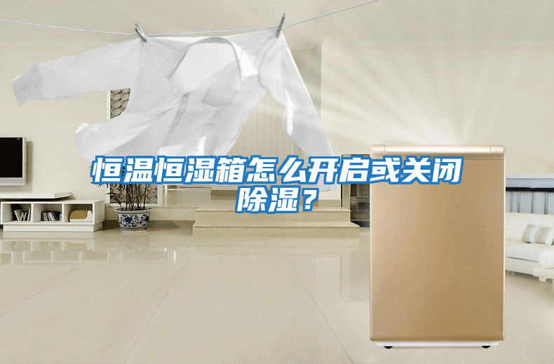 恒溫恒濕箱怎么開(kāi)啟或關(guān)閉除濕？