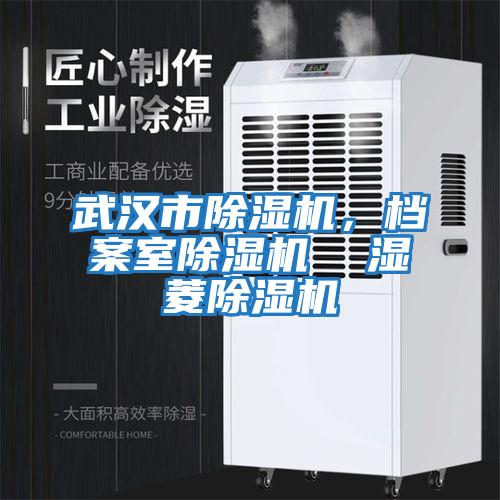 武漢市除濕機，檔案室除濕機  濕菱除濕機