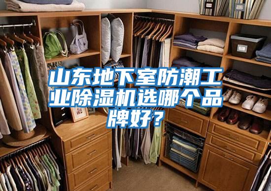 山東地下室防潮工業(yè)除濕機(jī)選哪個(gè)品牌好？