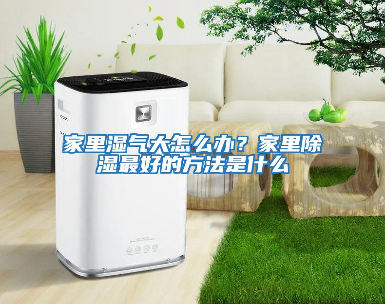 家里濕氣大怎么辦？家里除濕最好的方法是什么