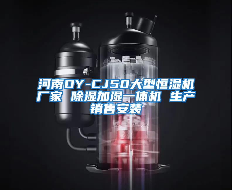 河南DY-CJ50大型恒濕機(jī)廠(chǎng)家 除濕加濕一體機(jī) 生產(chǎn)銷(xiāo)售安裝