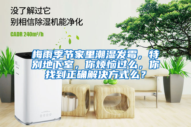 梅雨季節(jié)家里潮濕發(fā)霉，特別地下室，你煩惱過么，你找到正確解決方式么？