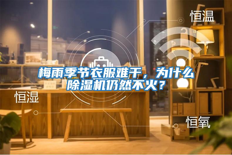 梅雨季節(jié)衣服難干，為什么除濕機仍然不火？