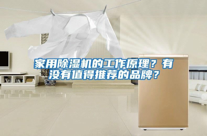 家用除濕機(jī)的工作原理？有沒有值得推薦的品牌？