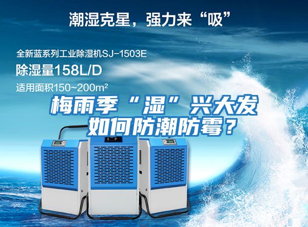 梅雨季“濕”興大發 如何防潮防霉？
