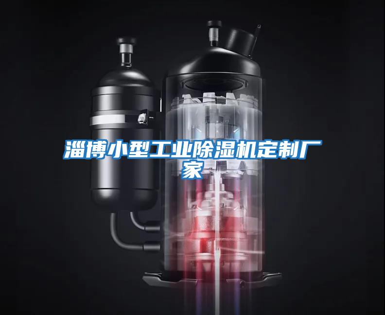 淄博小型工業(yè)除濕機(jī)定制廠(chǎng)家