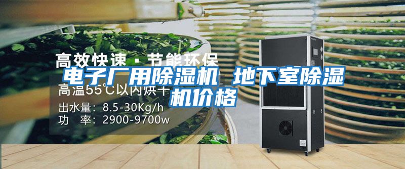 電子廠用除濕機(jī) 地下室除濕機(jī)價格