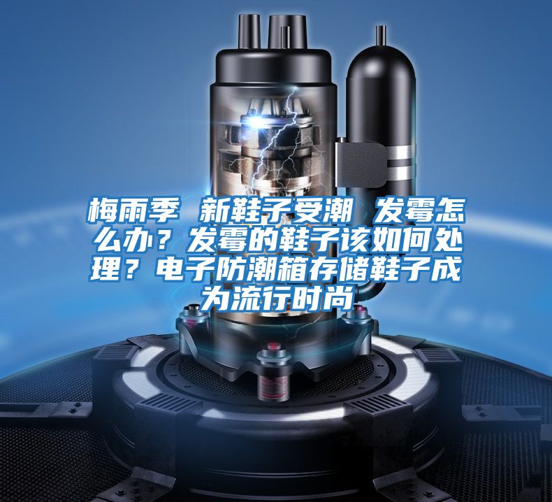 梅雨季 新鞋子受潮 發霉怎么辦？發霉的鞋子該如何處理？電子防潮箱存儲鞋子成為流行時尚