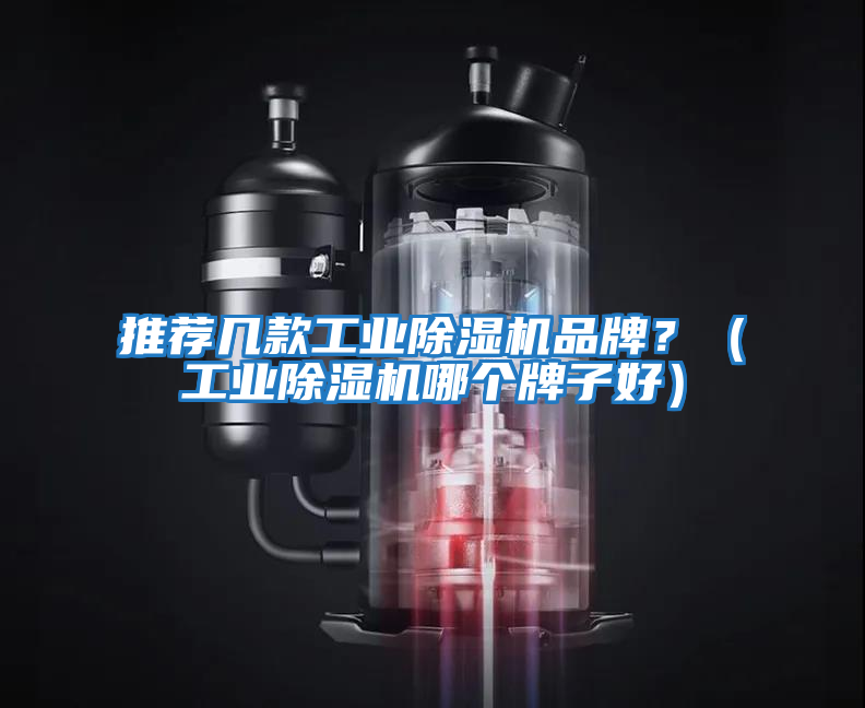 推薦幾款工業(yè)除濕機品牌？（工業(yè)除濕機哪個牌子好）