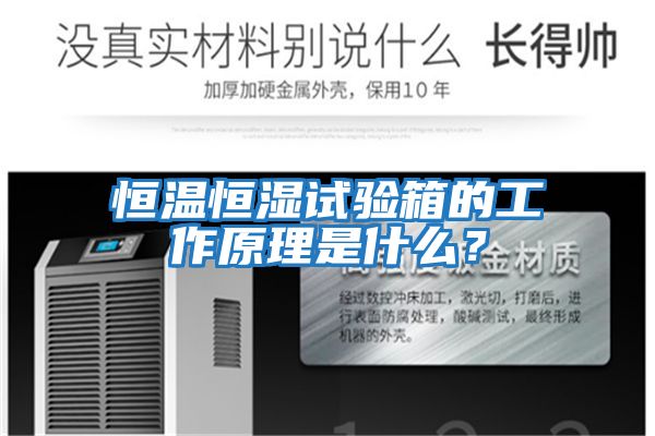 恒溫恒濕試驗箱的工作原理是什么？