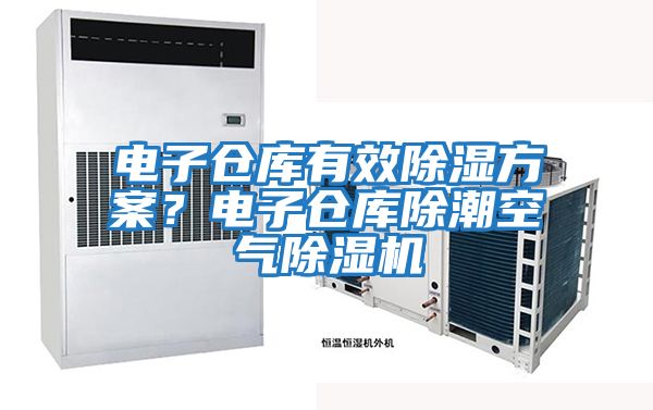 電子倉庫有效除濕方案？電子倉庫除潮空氣除濕機(jī)