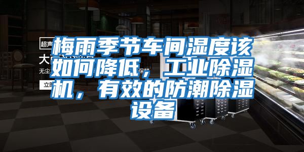 梅雨季節車間濕度該如何降低，工業除濕機，有效的防潮除濕設備
