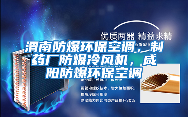 渭南防爆環?？照{，制藥廠防爆冷風機，咸陽防爆環?？照{