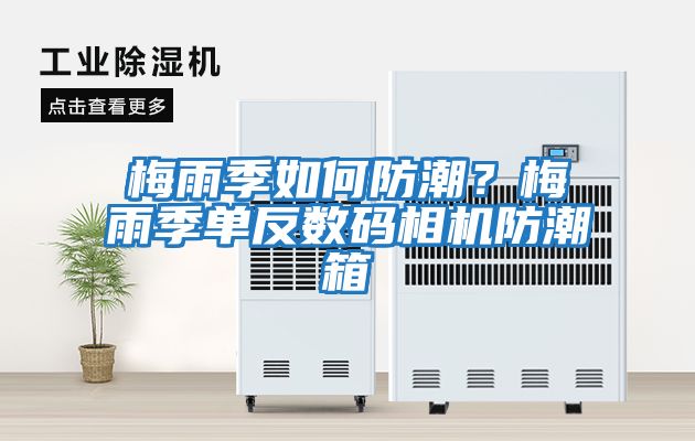 梅雨季如何防潮？梅雨季單反數碼相機防潮箱